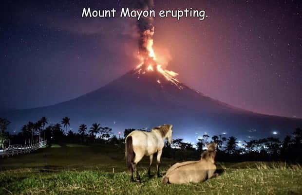 Interesting Pictures with Captions #204 (22 photos)