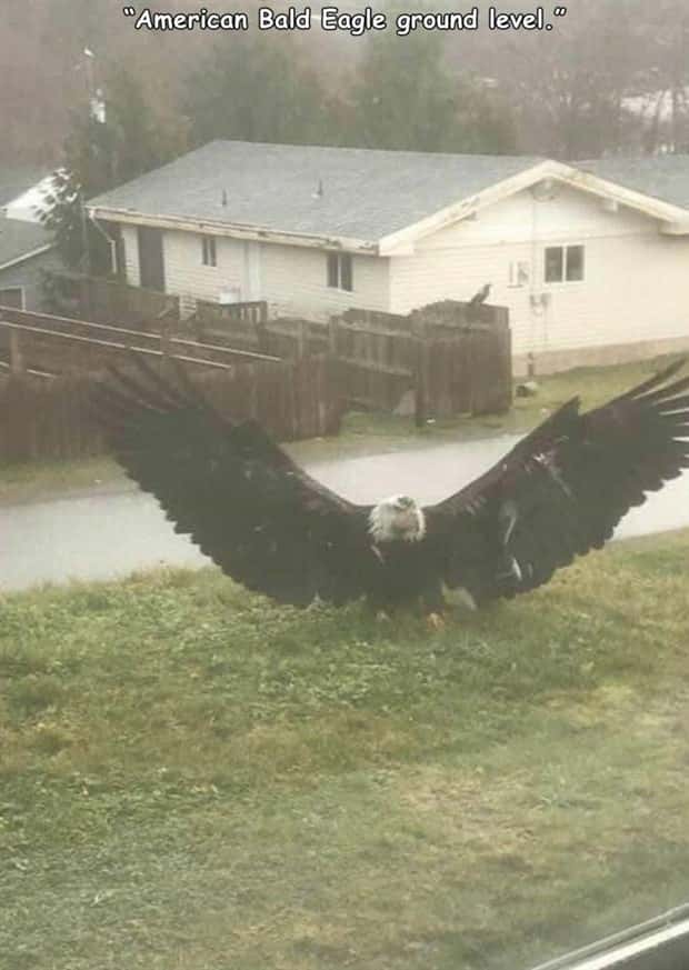 Interesting Pictures with Captions #202 (20 photos)