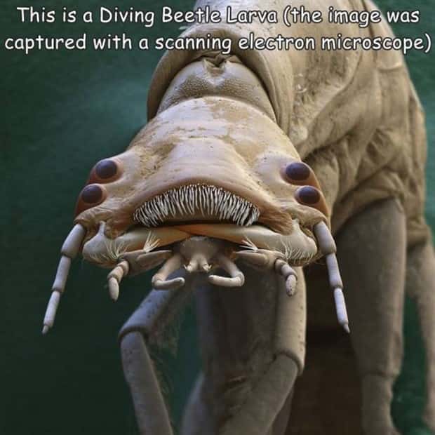 Interesting Pictures with Captions #202 (20 photos)