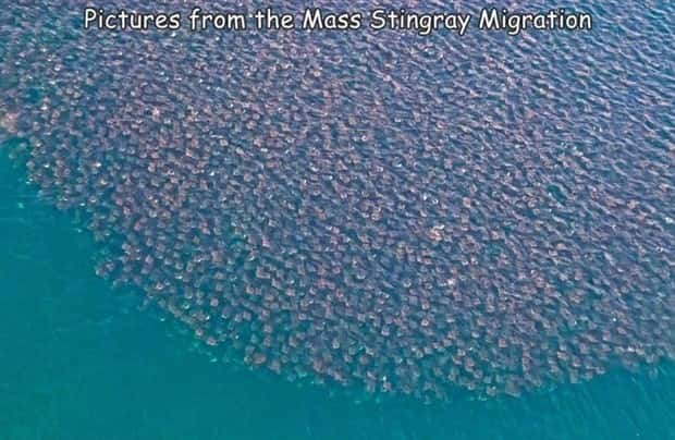 Interesting Pictures with Captions #203 (19 photos)