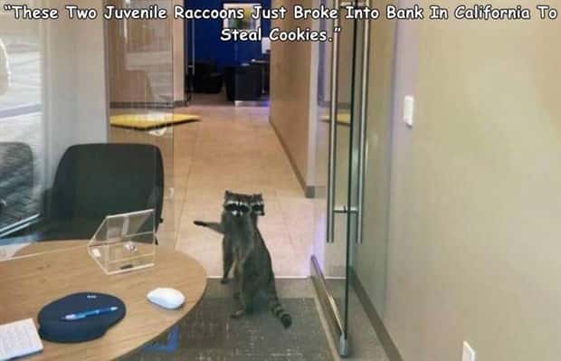 Interesting Pictures with Captions #201 (24 photos)