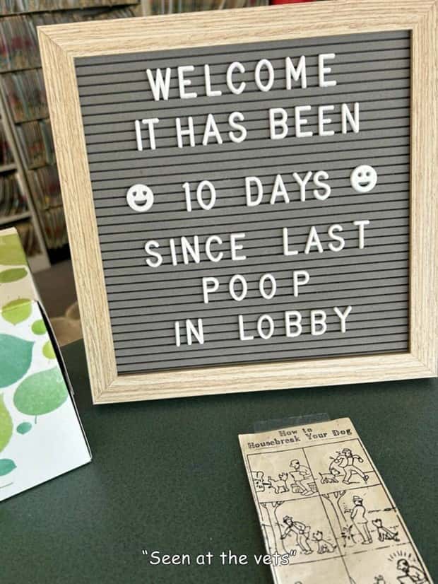 Interesting Pictures with Captions #202 (20 photos)