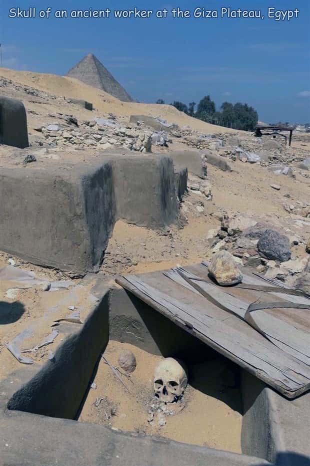 Interesting Pictures with Captions #203 (19 photos)