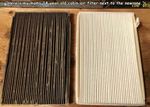 Interesting Pictures with Captions #201 (24 photos)