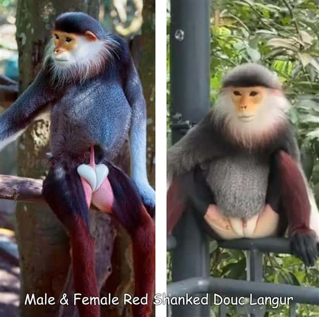 Interesting Pictures with Captions #203 (19 photos)