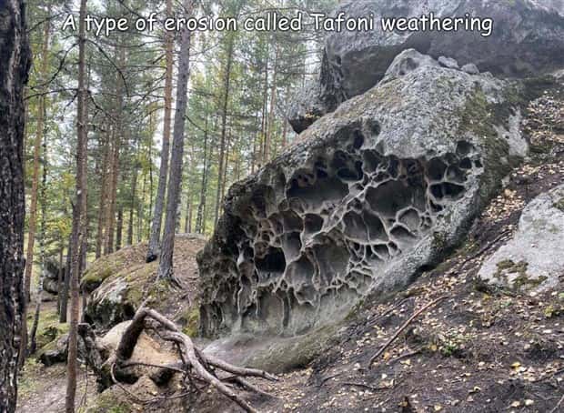 Interesting Pictures with Captions #202 (20 photos)