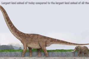 Interesting Pictures with Captions #203 (19 photos)