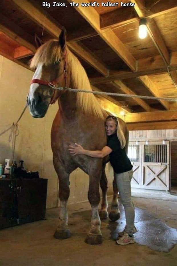 Interesting Pictures with Captions #202 (20 photos)