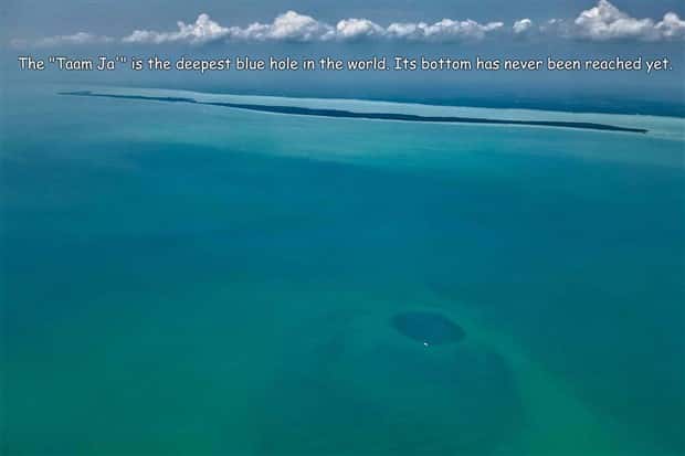 Interesting Pictures with Captions #201 (24 photos)
