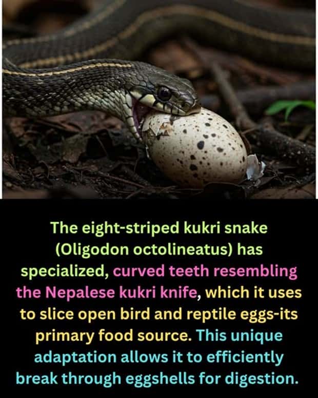 random facts 13 1 Cool and Interesting Facts #477 (22 photos)