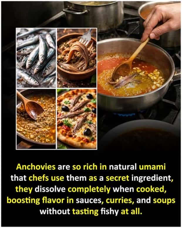 random facts 19 1 Cool and Interesting Facts #477 (22 photos)