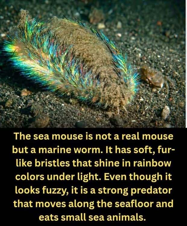 random facts 20 1 Cool and Interesting Facts #477 (22 photos)