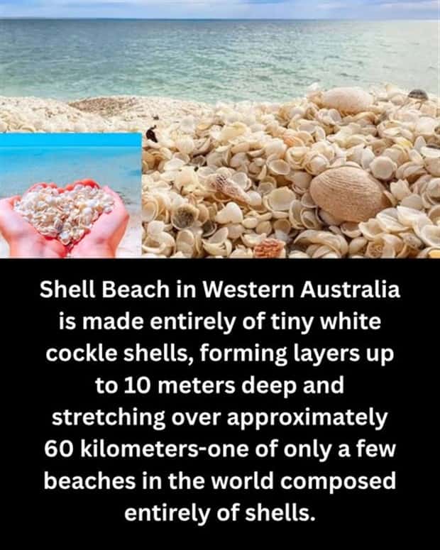 random facts 21 1 Cool and Interesting Facts #477 (22 photos)