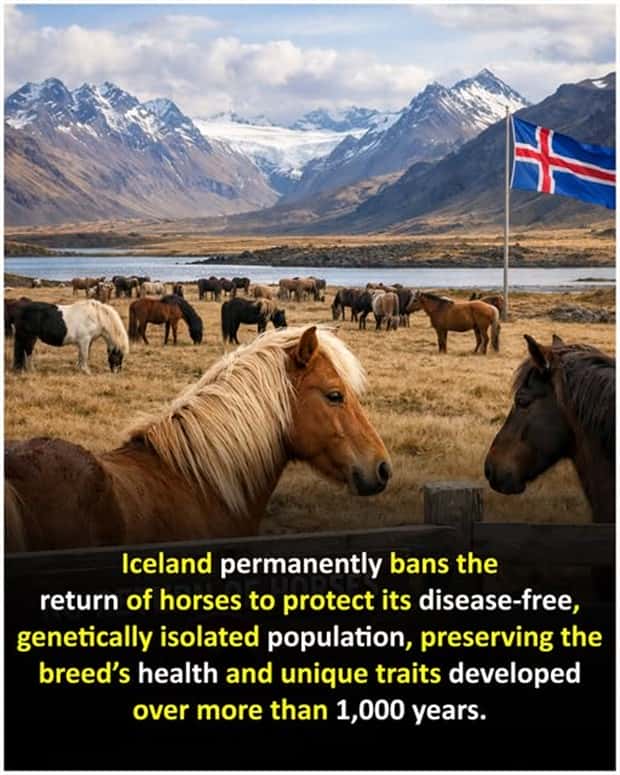 random facts 5 1 Cool and Interesting Facts #477 (22 photos)