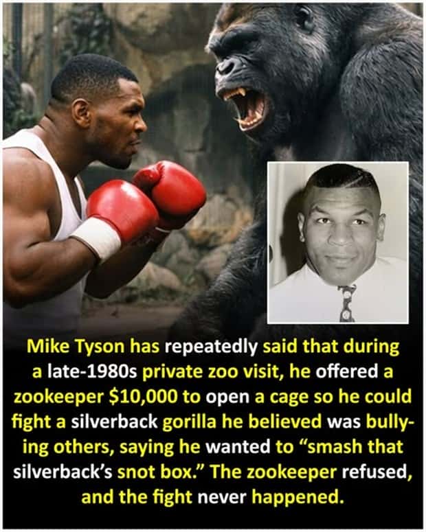 random facts 8 1 Cool and Interesting Facts #477 (22 photos)