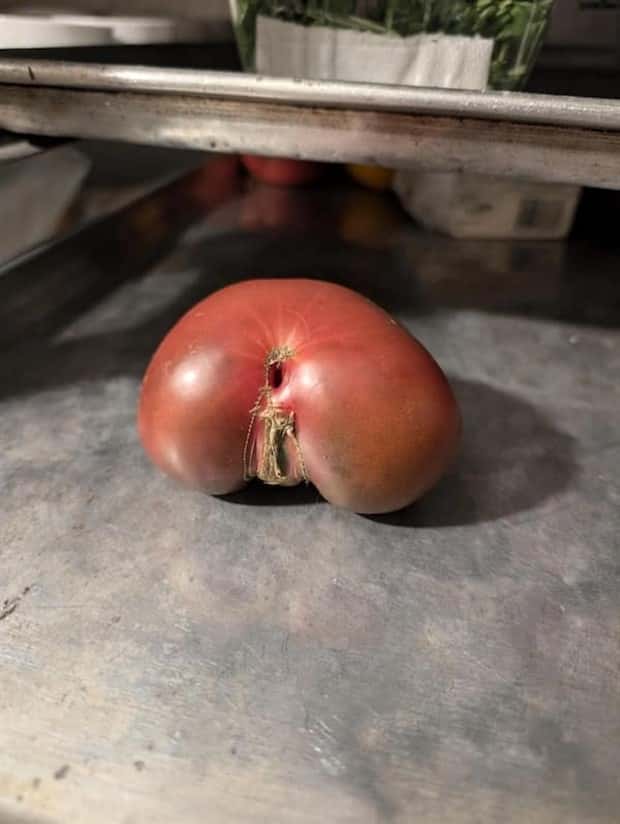 Sexually Suggestive Foods Want Attention (22 photos)