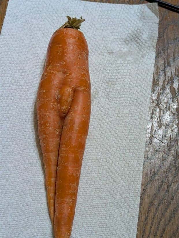 Sexually Suggestive Foods Want Attention (22 photos)