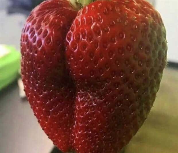 Sexually Suggestive Foods Want Attention (22 photos)