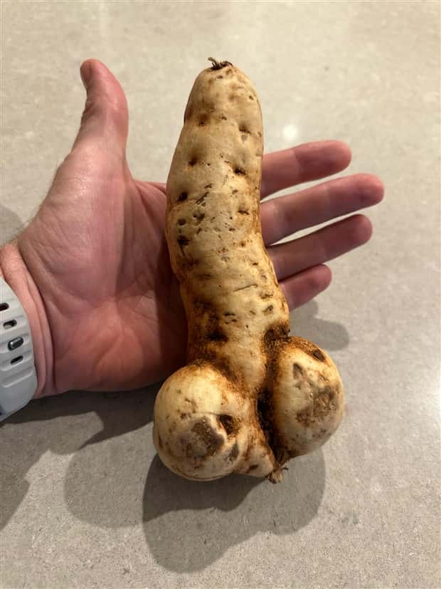 Sexually Suggestive Foods Want Attention (22 photos)