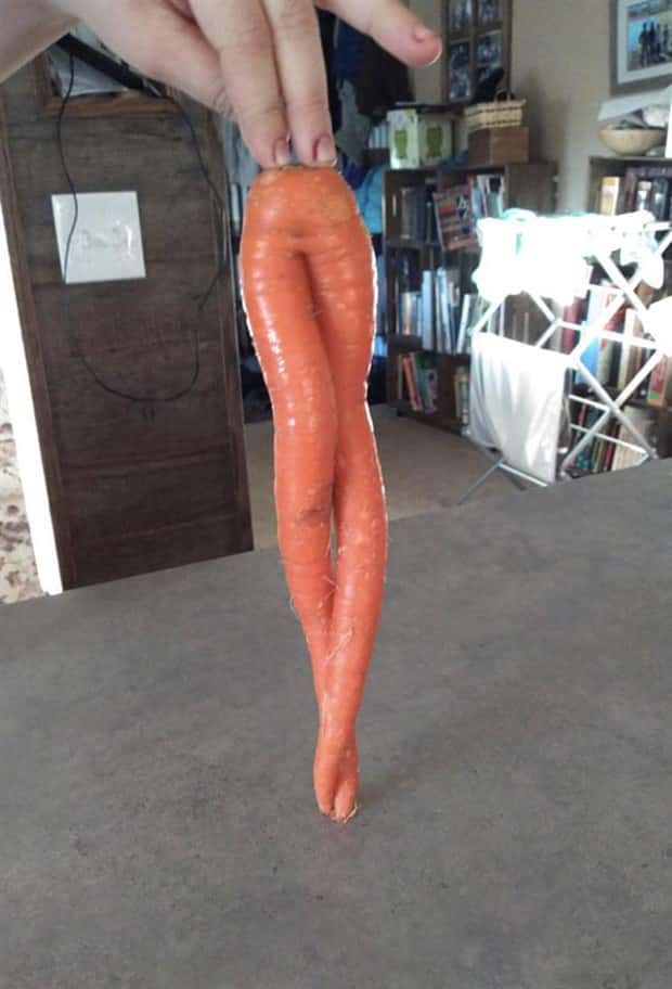 Sexually Suggestive Foods Want Attention (22 photos)
