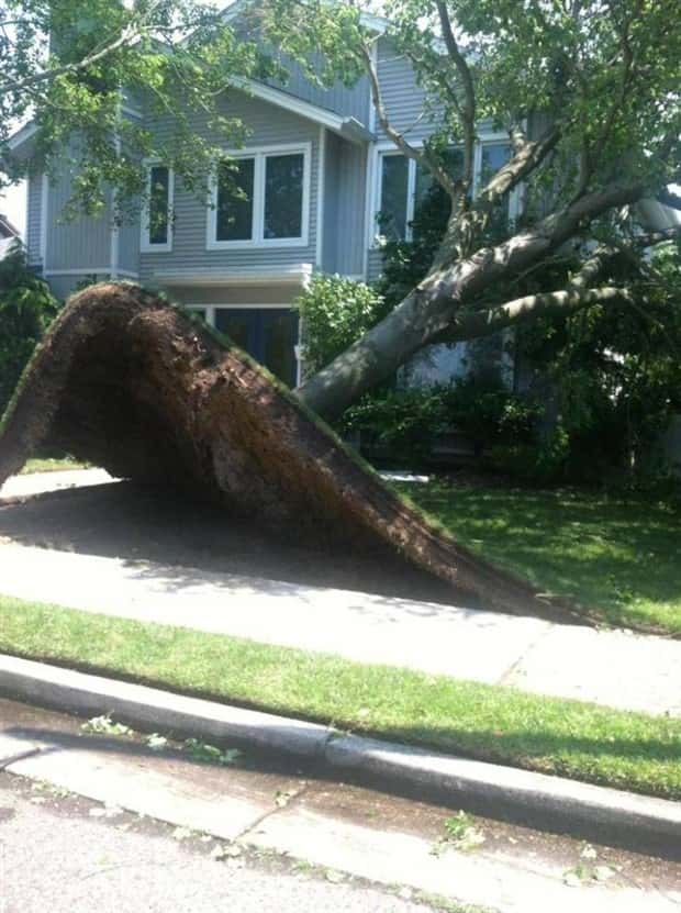 Shit Happens Regularly, Get Used To It #377 (20 photos)