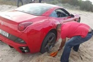 Shit Happens Regularly, Get Used To It #377 (20 photos)