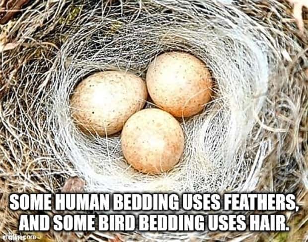 shower thoughts 15 3 Funny Shower Thoughts That Sound Smart #203 (17 photos)