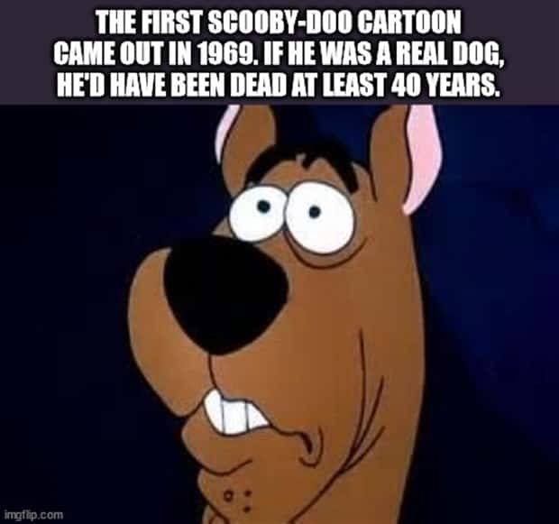 Funny Shower Thoughts That Sound Smart #204 (23 photos)