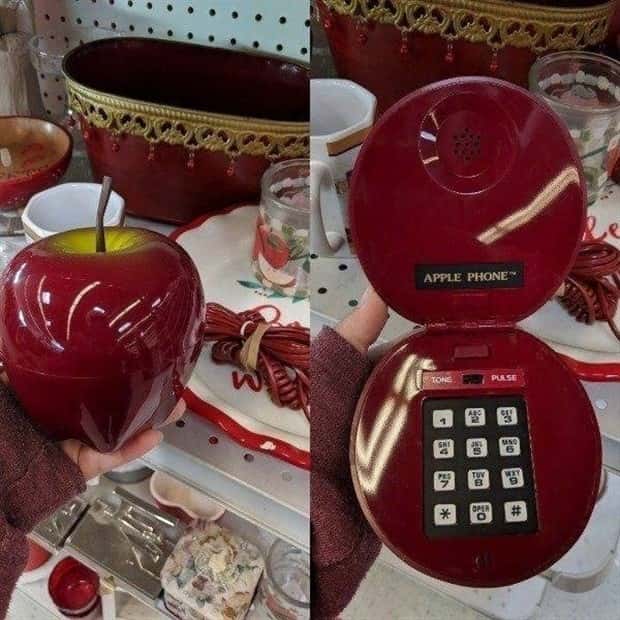 Strange Things Found in Thrift Stores #34 (20 photos)