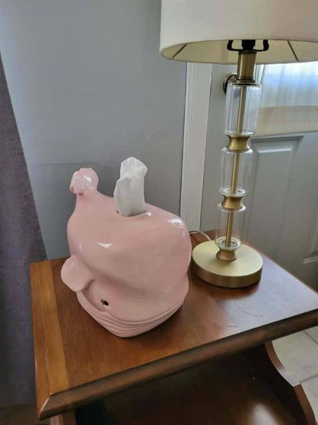 Strange Things Found in Thrift Stores #34 (20 photos)