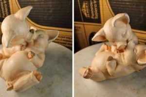 Strange Things Found in Thrift Stores #34 (20 photos)