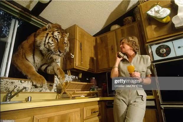 25 Ridiculous Stock Images That Make Zero Sense (25 photos)
