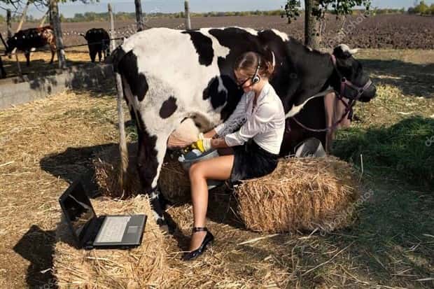 25 Ridiculous Stock Images That Make Zero Sense (25 photos)