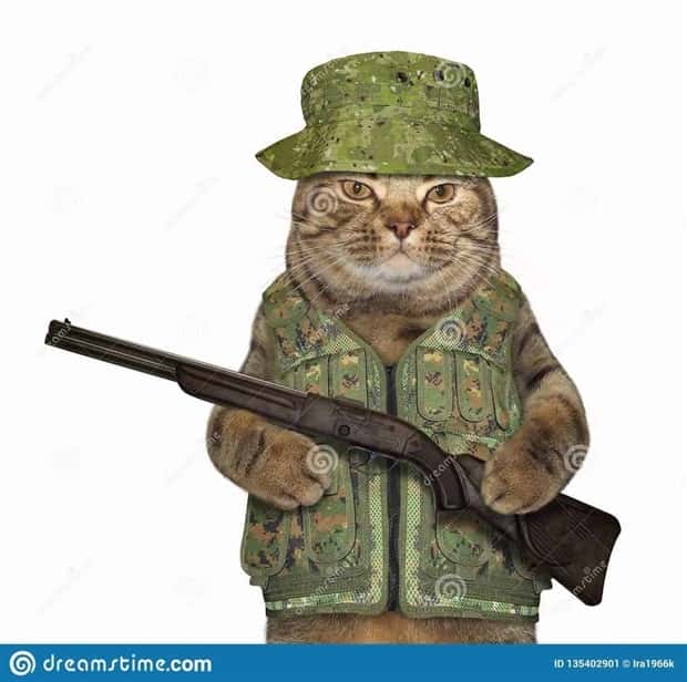 25 Ridiculous Stock Images That Make Zero Sense (25 photos)