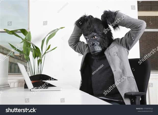 25 Ridiculous Stock Images That Make Zero Sense (25 photos)