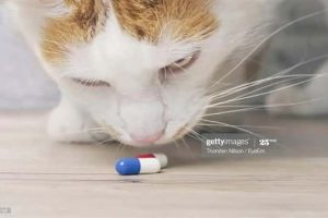 25 Ridiculous Stock Images That Make Zero Sense (25 photos)