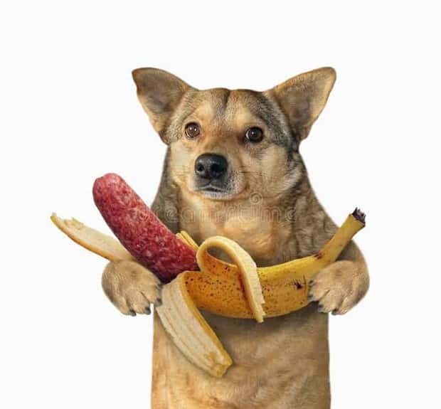 25 Ridiculous Stock Images That Make Zero Sense (25 photos)