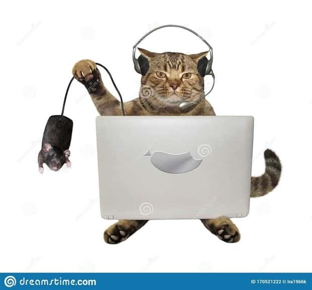 25 Ridiculous Stock Images That Make Zero Sense (25 photos)