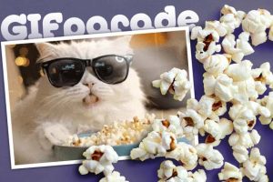 Amusing GIF Parade CLXIV
