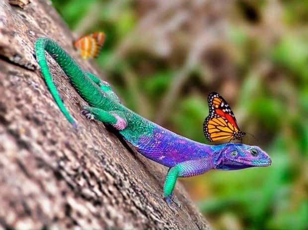 Awesome Pictures You Shouldn’t Miss #206 (19 photos)