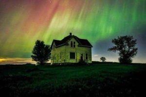 Awesome Pictures You Shouldn’t Miss #206 (19 photos)
