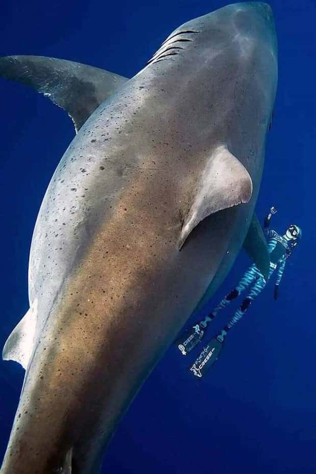 Awesome Pictures You Shouldn’t Miss #205 (22 photos)
