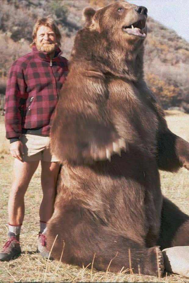 Awesome Pictures You Shouldn’t Miss #206 (19 photos)