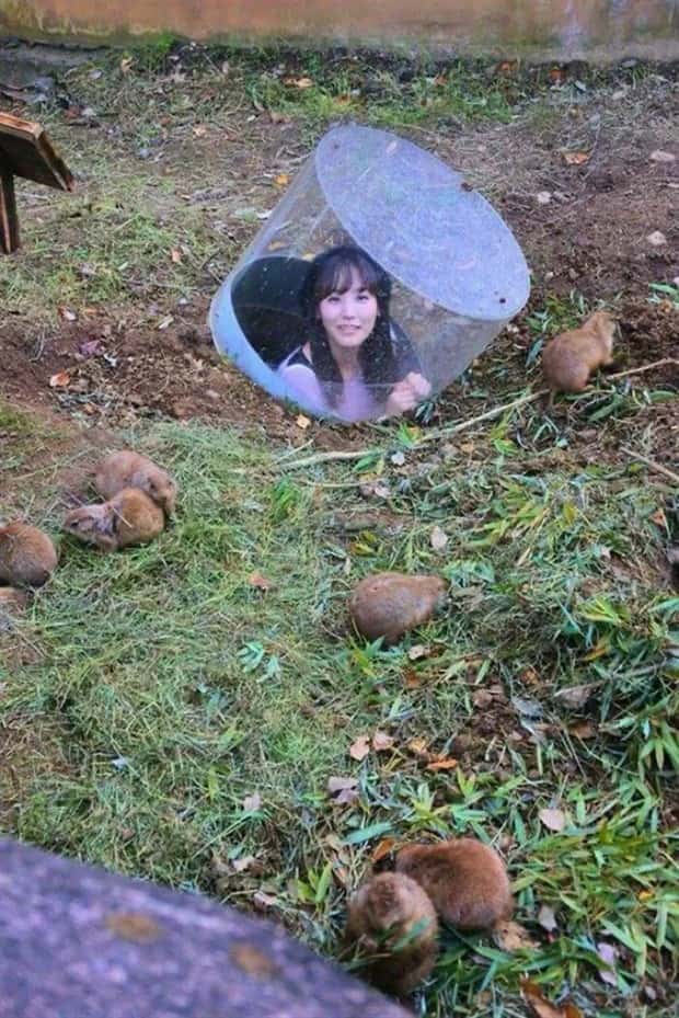 Curious Things You Only See in Japan (31 photos)