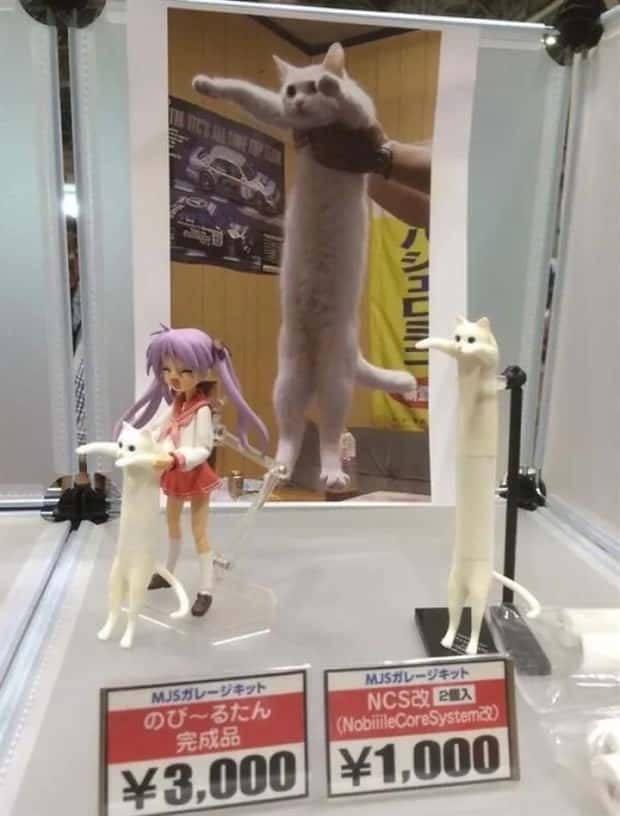 Curious Things You Only See in Japan (31 photos)