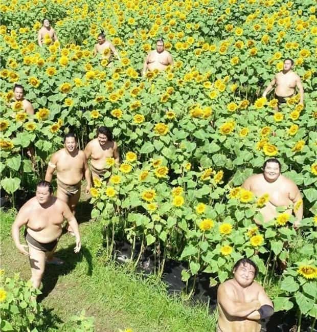 Curious Things You Only See in Japan (31 photos)