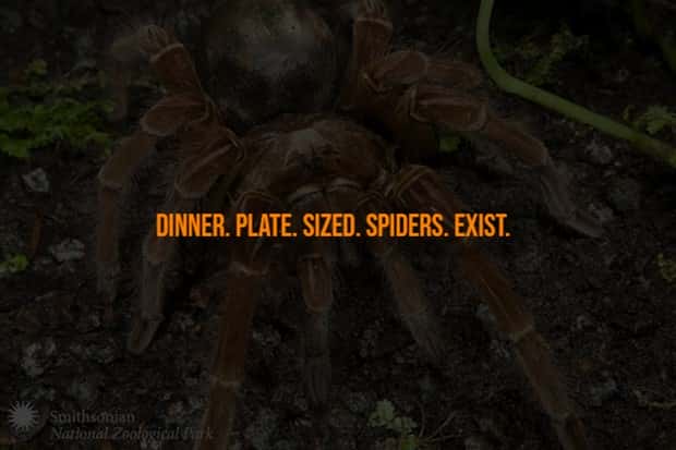 Creepy Facts Are Back to Haunt You #15 (20 photos)