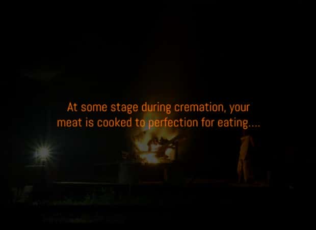Creepy Facts Are Back to Haunt You #15 (20 photos)