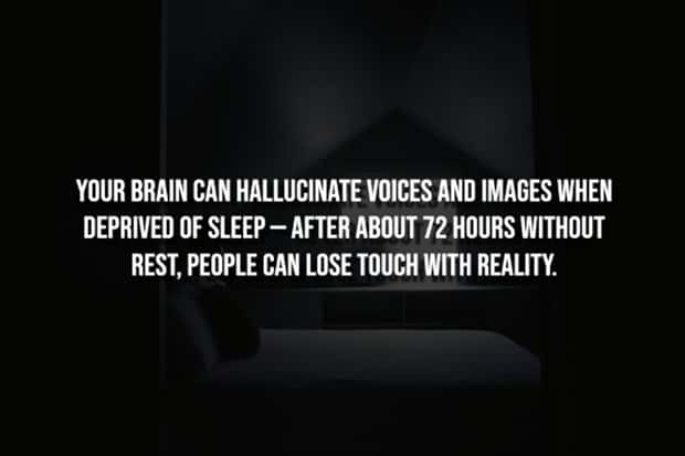 Creepy Facts Are Back to Haunt You #15 (20 photos)