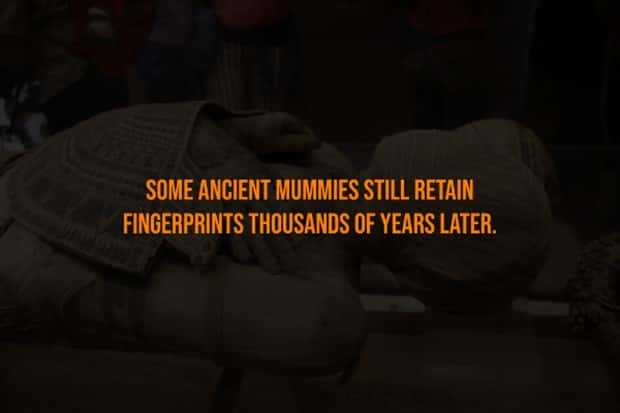 Creepy Facts Are Back to Haunt You #15 (20 photos)